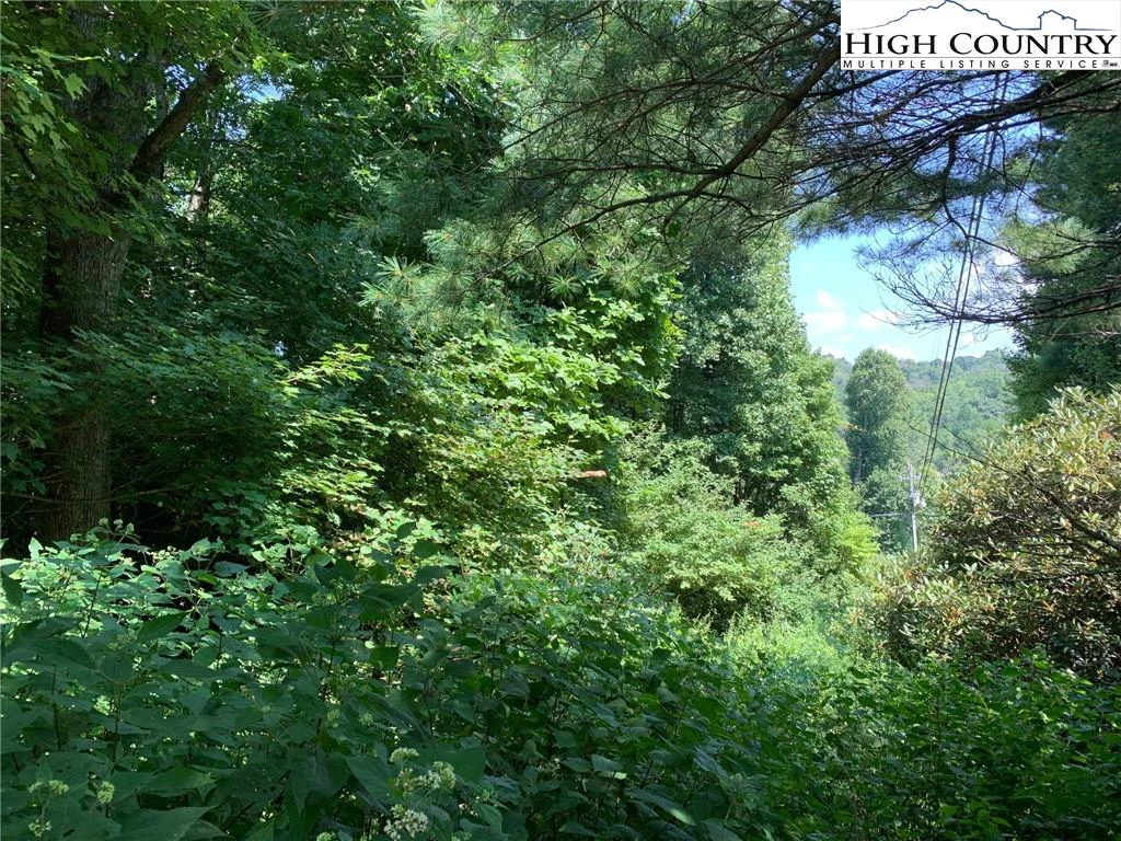 Image number 7 for the current listing