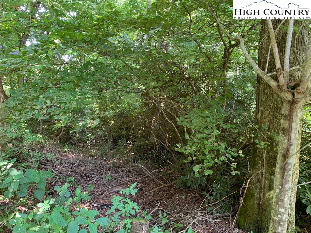 Image number 8 for the current listing