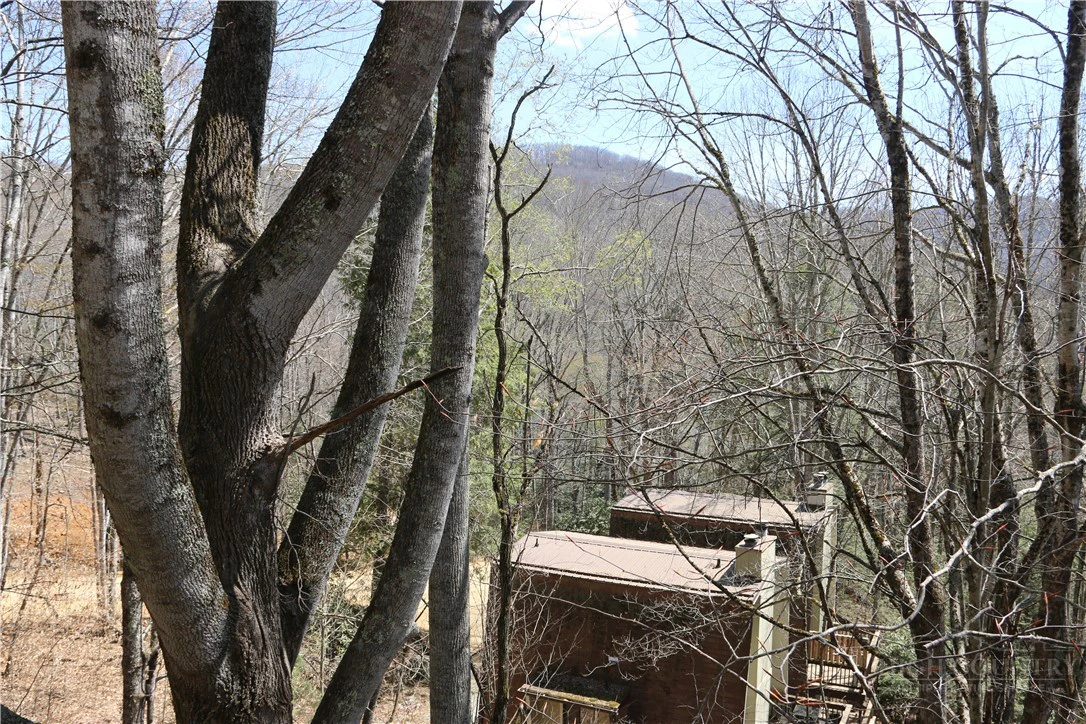 Image number 11 for the current listing