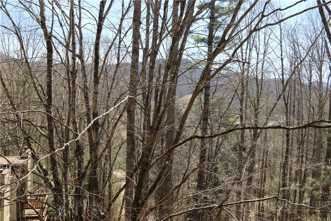 Image number 9 for the current listing