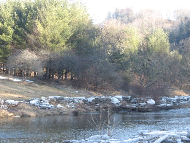 Image number 3 for the current listing