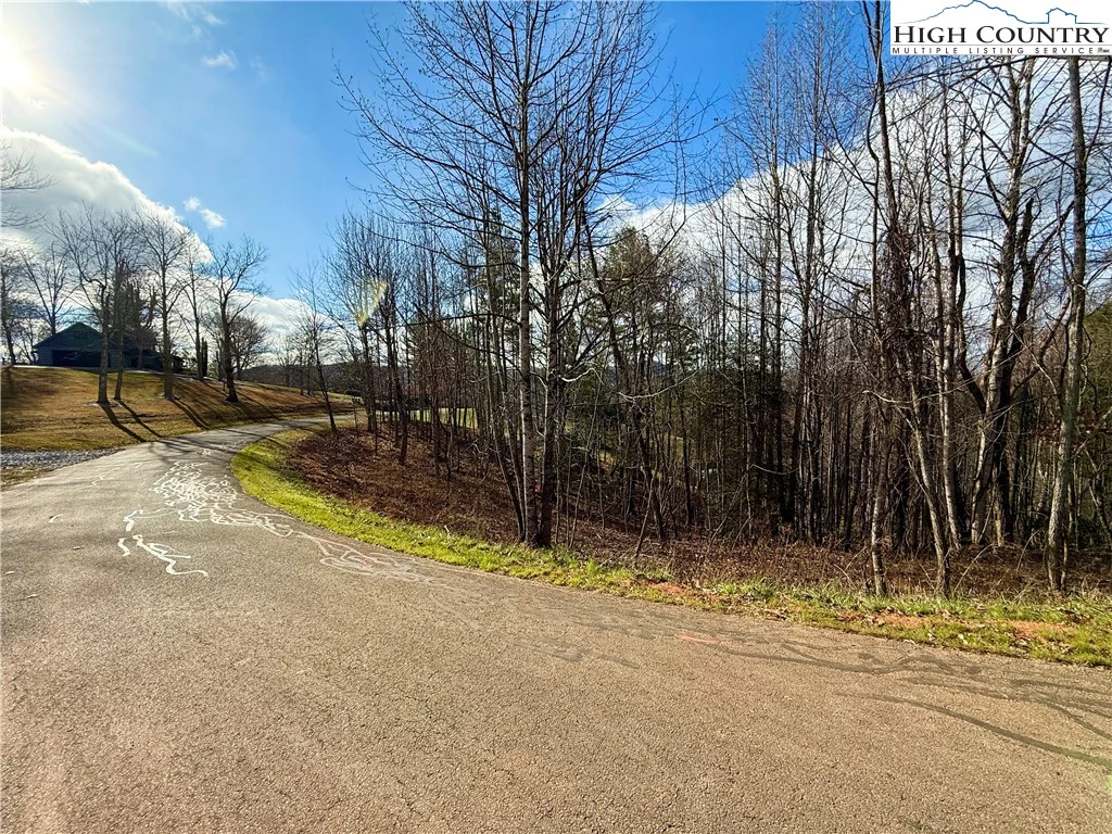 Image number 10 for the current listing