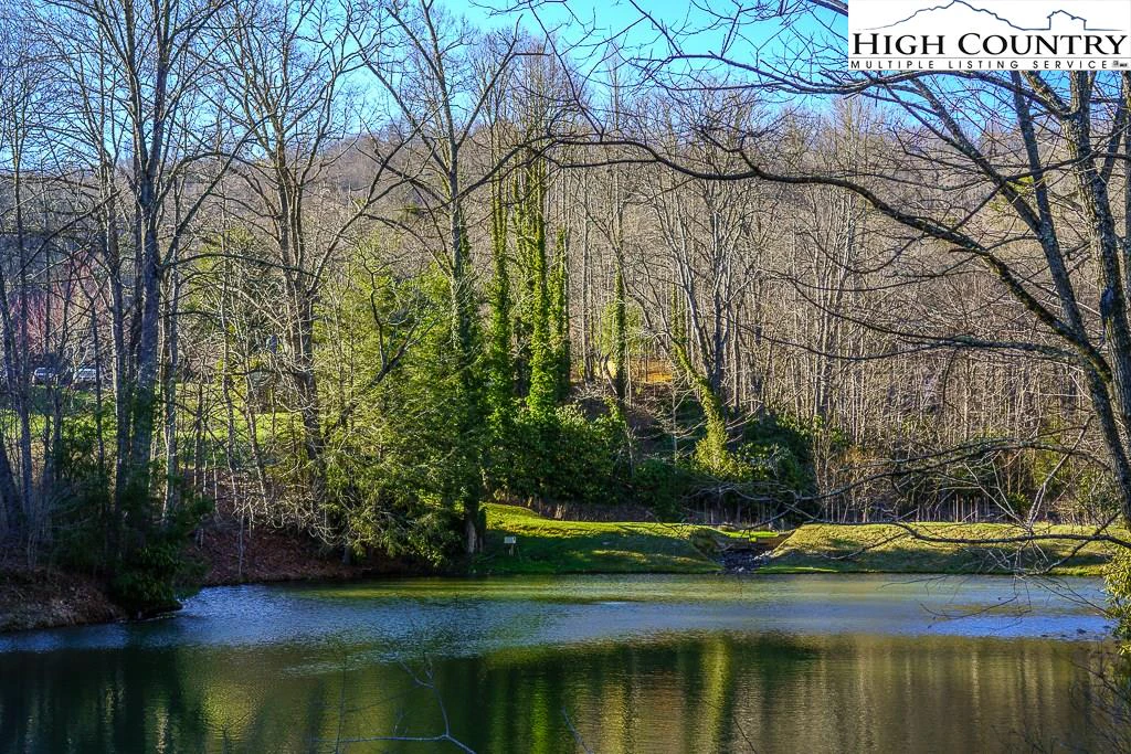 Image number 14 for the current listing