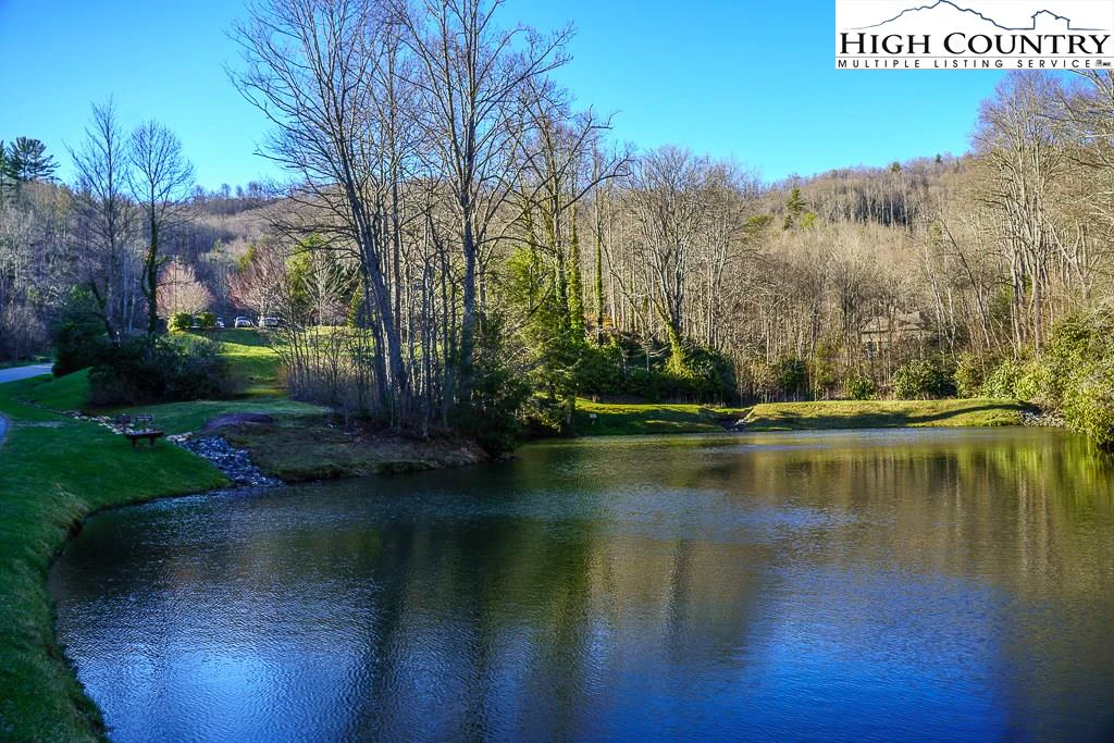 Image number 15 for the current listing
