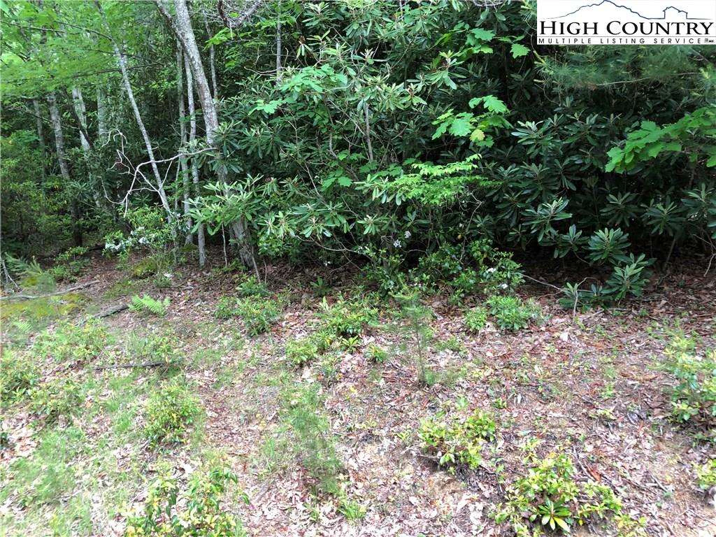 Image number 1 for the current listing