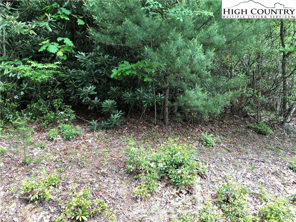 Image number 3 for the current listing