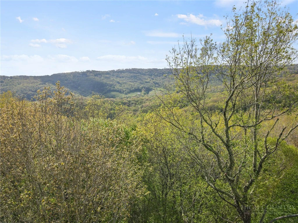 Image number 2 for the current listing