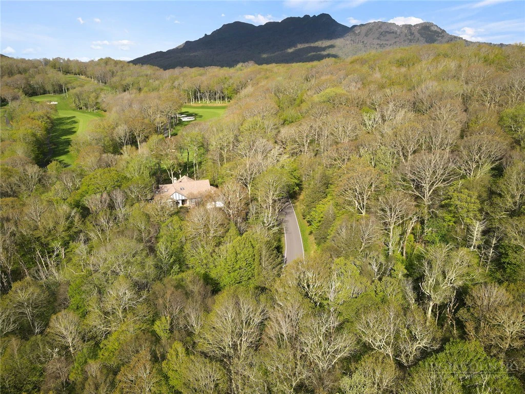 Image number 4 for the current listing