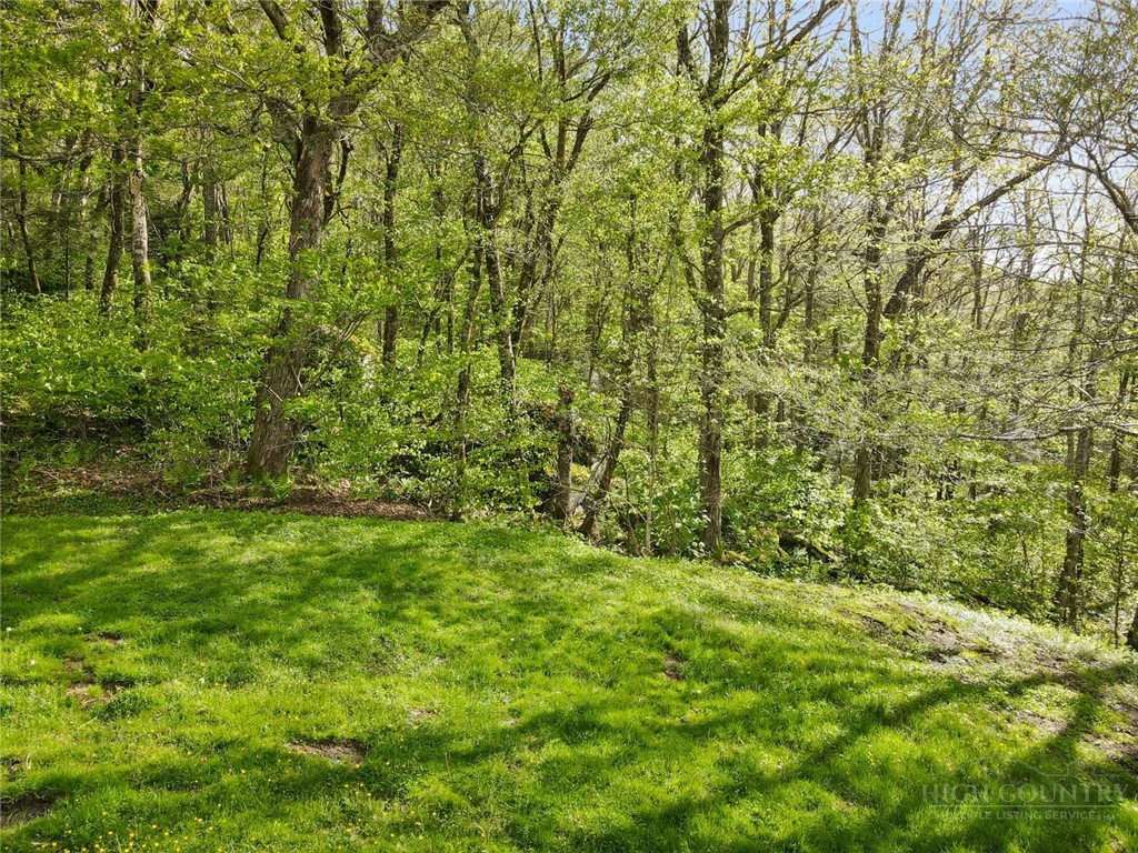 Image number 5 for the current listing