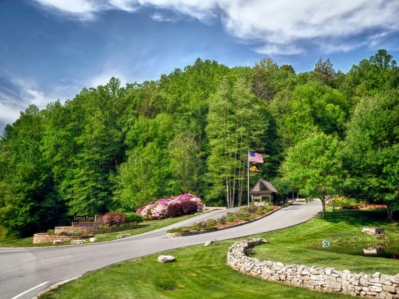 Image number 7 for the current listing