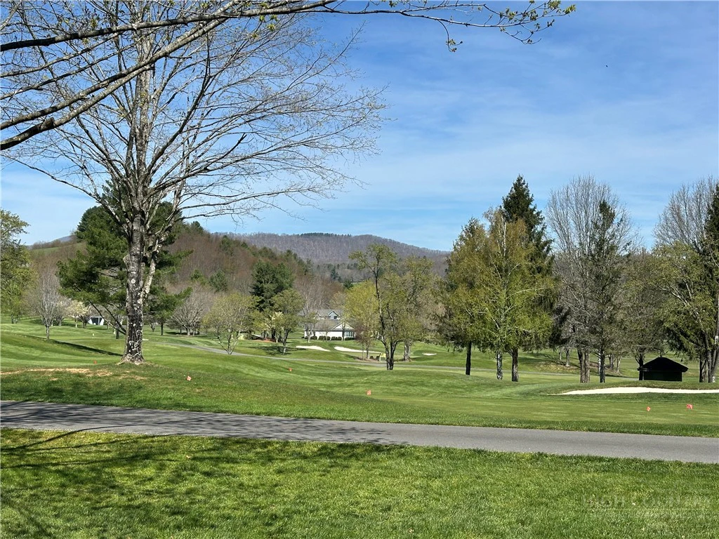 Image number 5 for the current listing