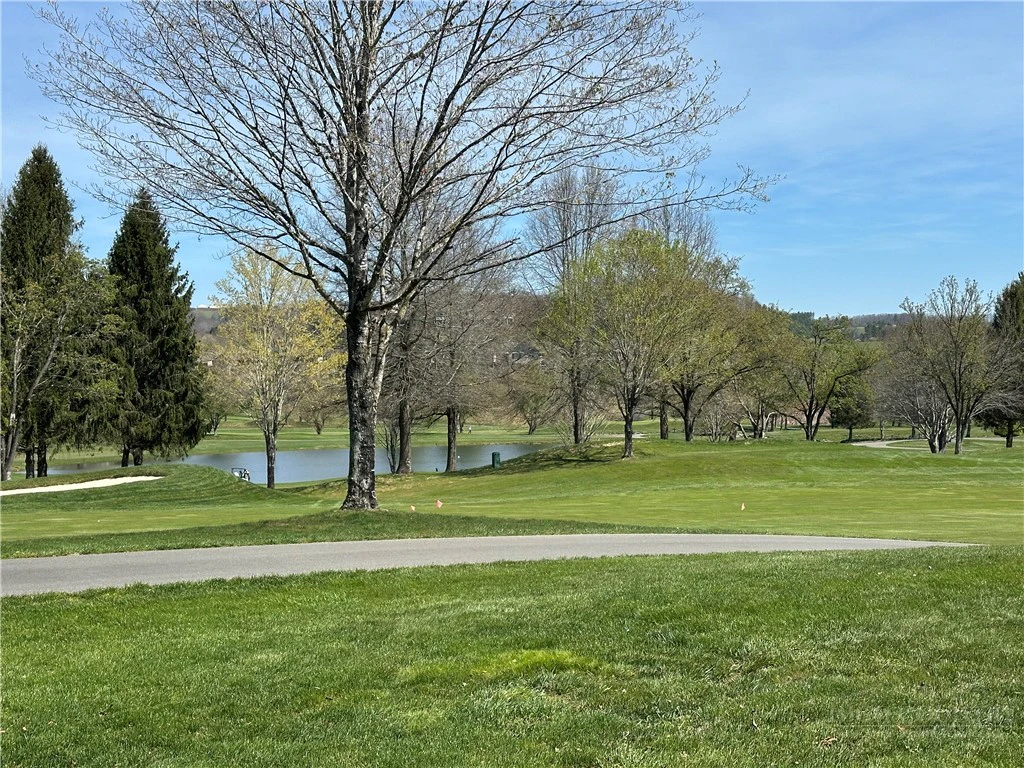Image number 4 for the current listing
