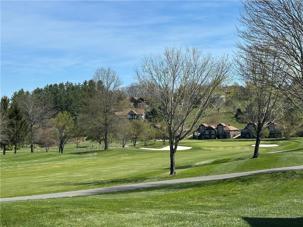 Image number 3 for the current listing