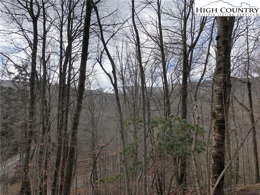 Image number 1 for the current listing