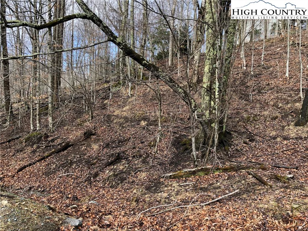 Image number 11 for the current listing