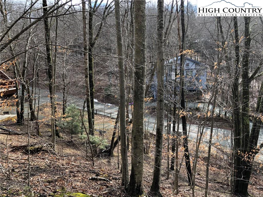 Image number 6 for the current listing