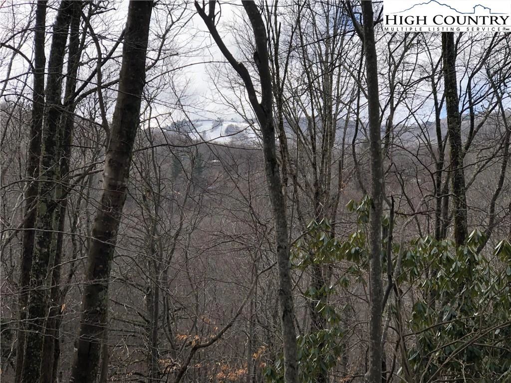 Image number 18 for the current listing