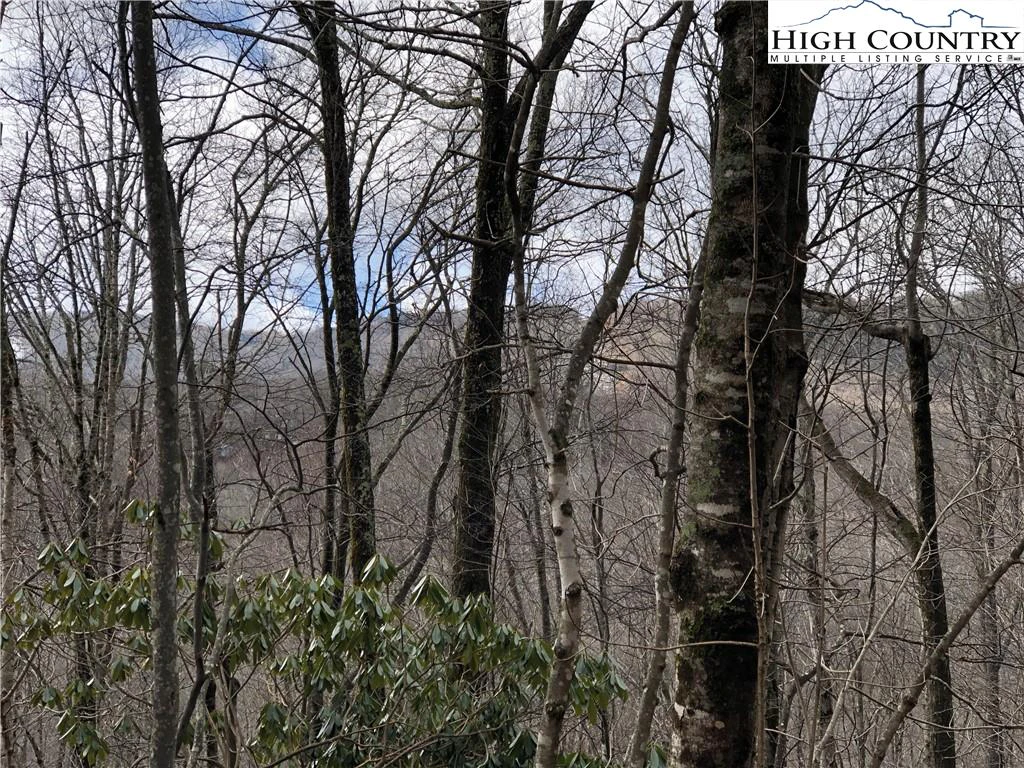 Image number 16 for the current listing