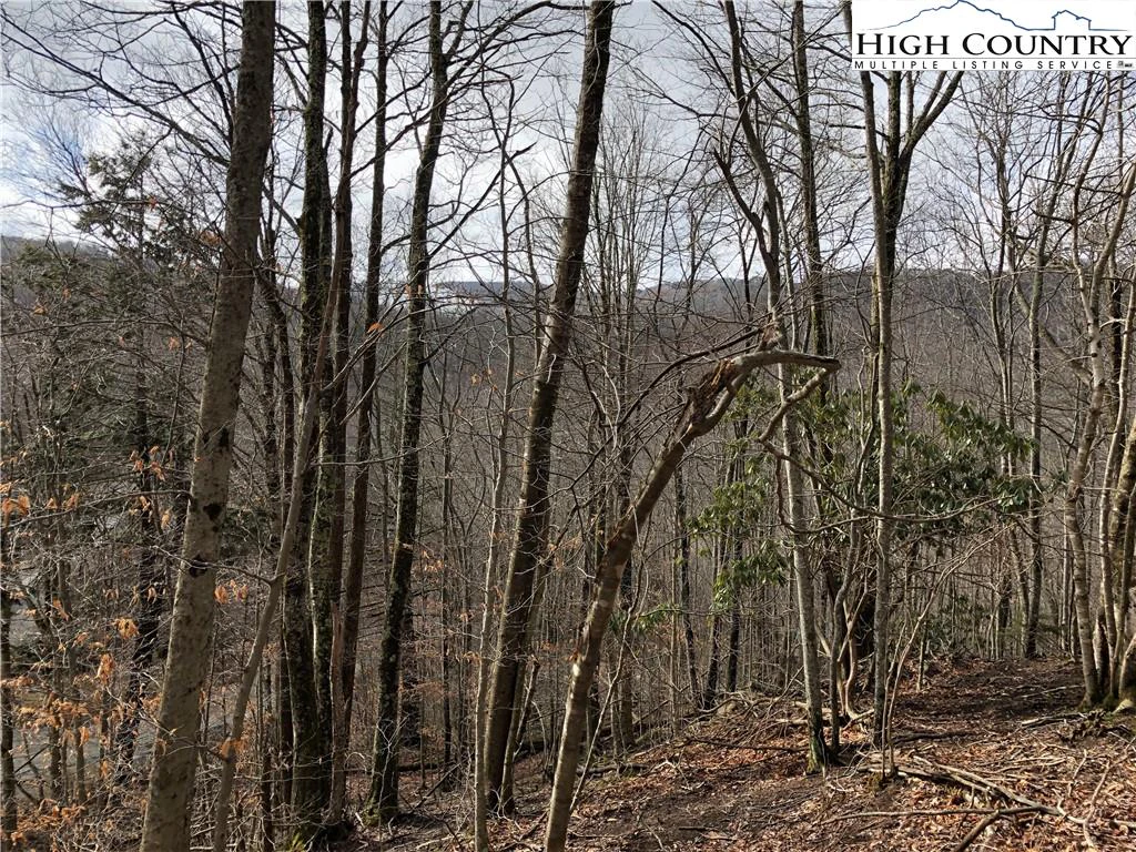 Image number 15 for the current listing