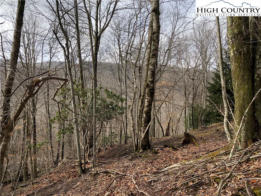 Image number 14 for the current listing
