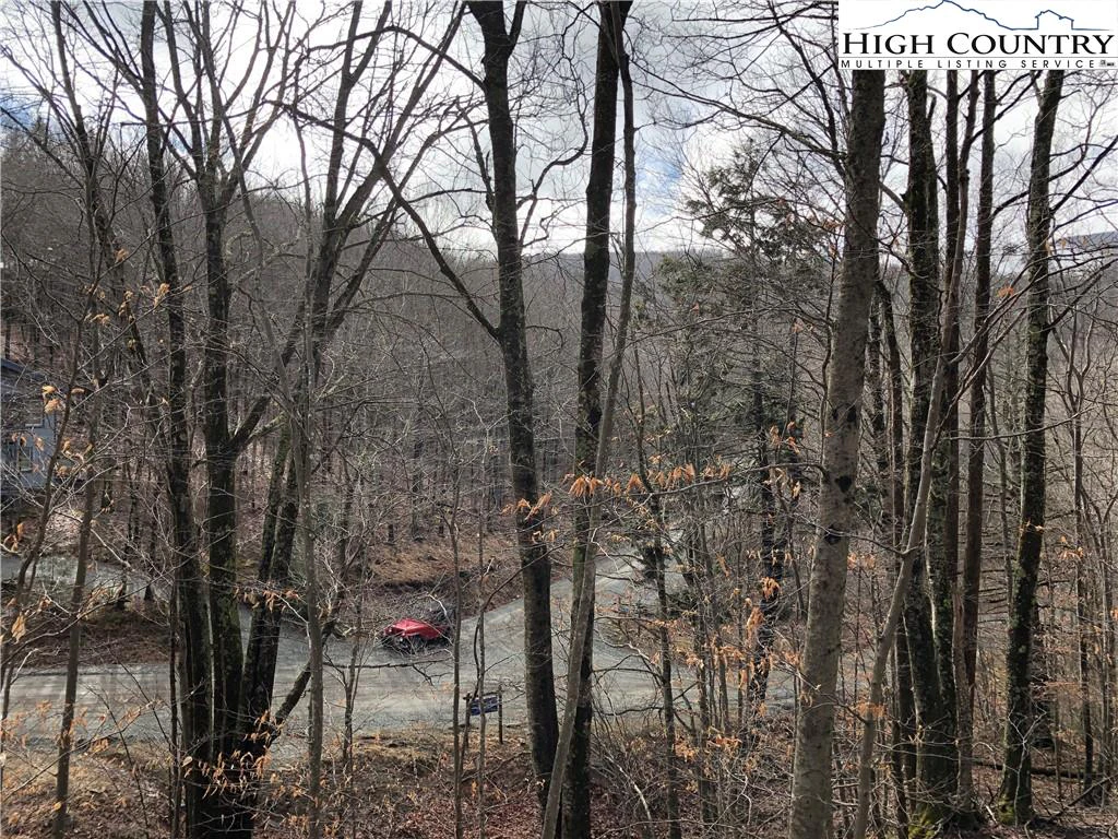 Image number 13 for the current listing