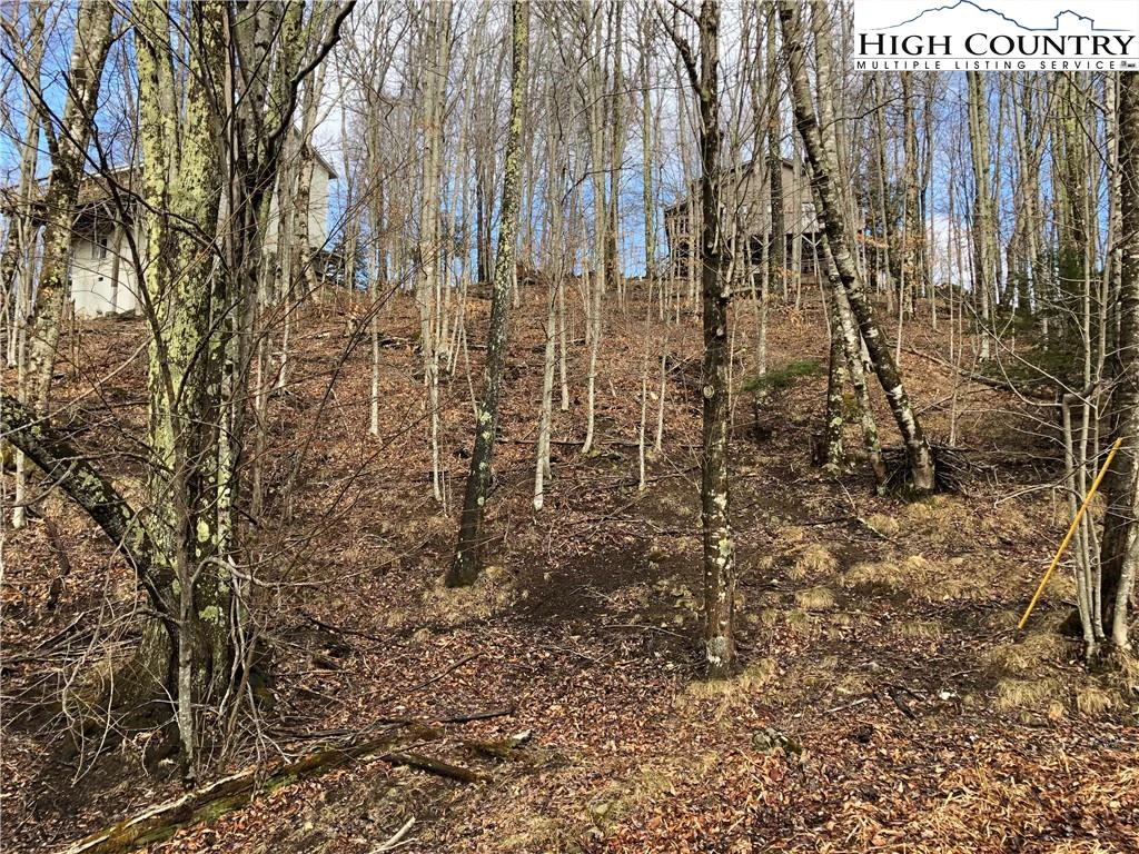 Image number 12 for the current listing