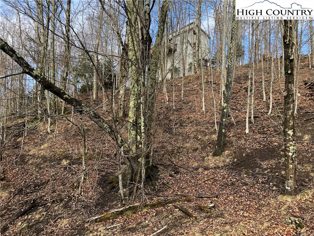 Image number 2 for the current listing