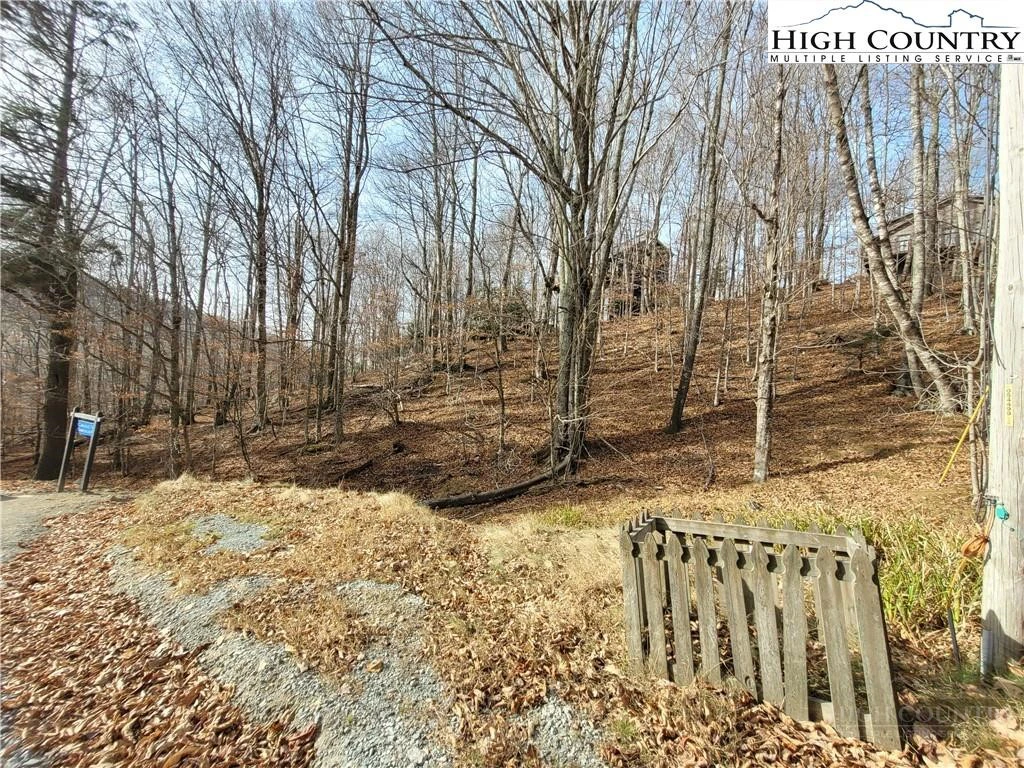 Image number 3 for the current listing