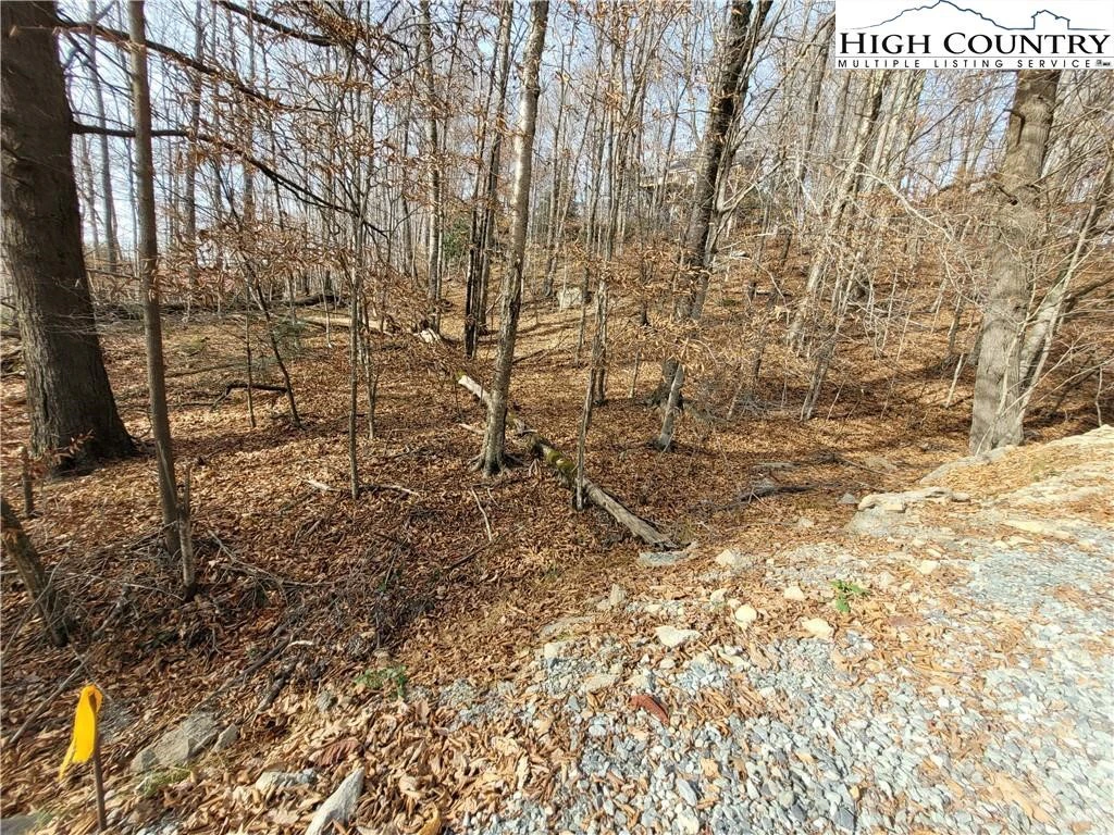 Image number 4 for the current listing
