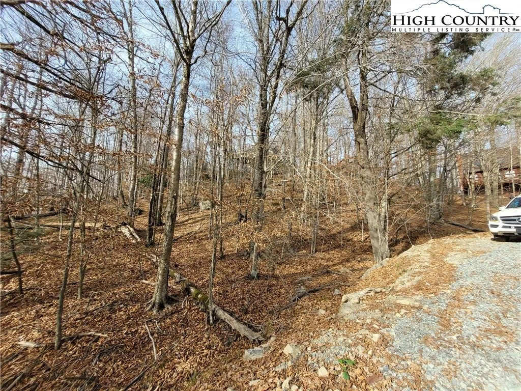 Image number 5 for the current listing