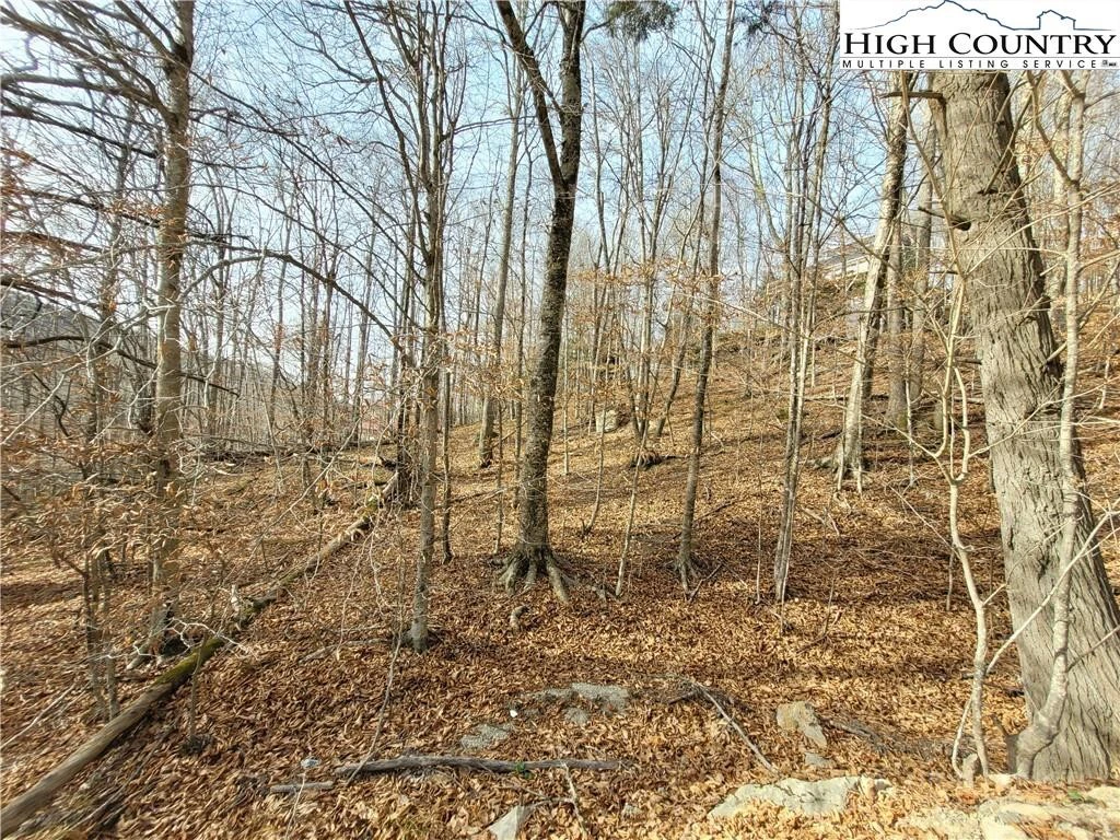 Image number 6 for the current listing