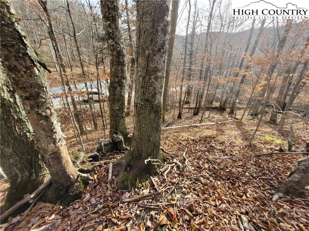 Image number 7 for the current listing