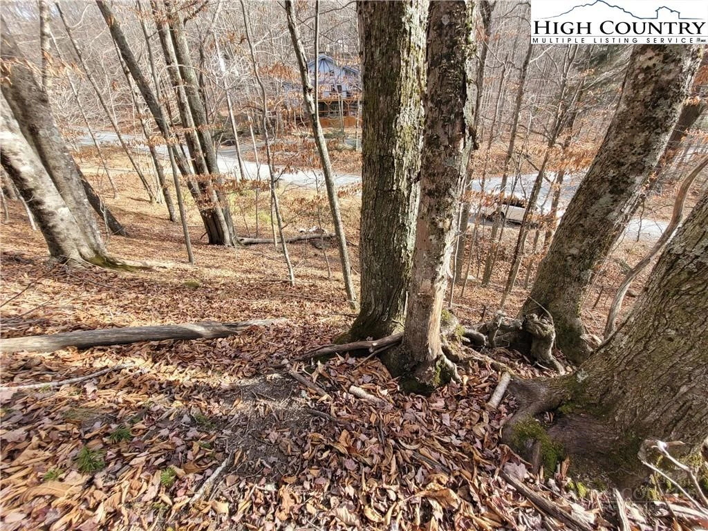 Image number 8 for the current listing