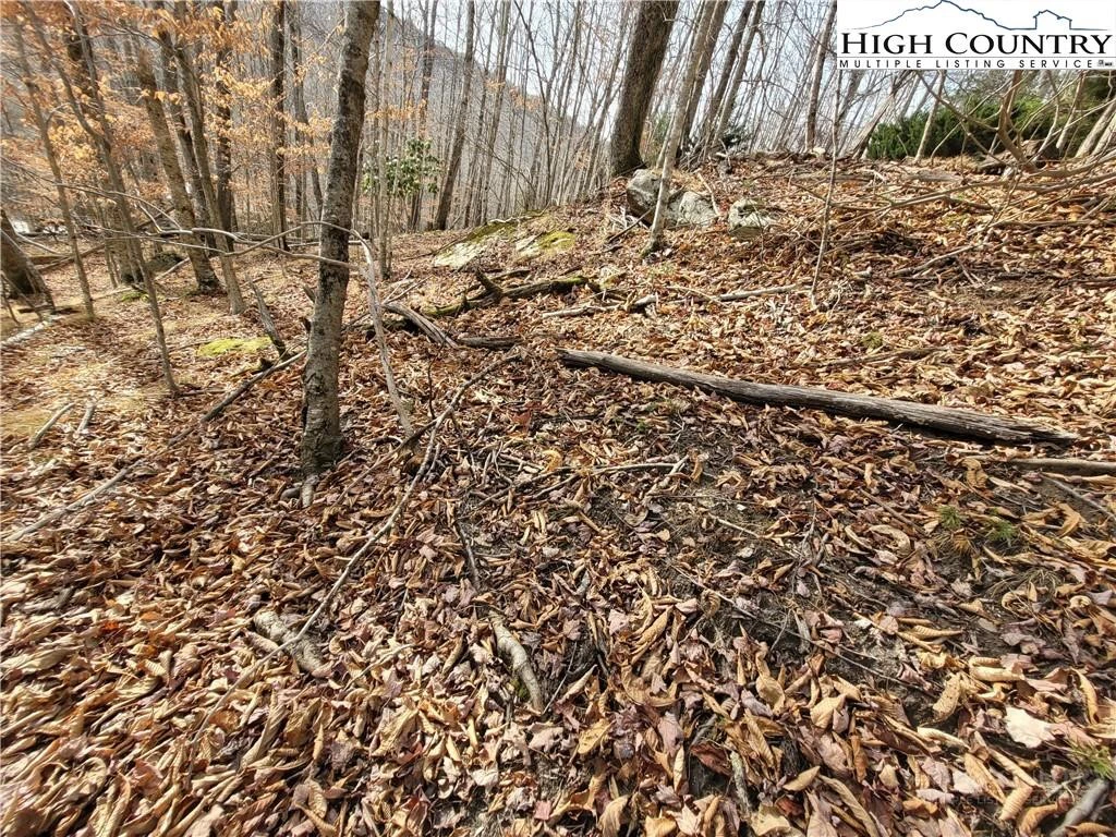 Image number 9 for the current listing