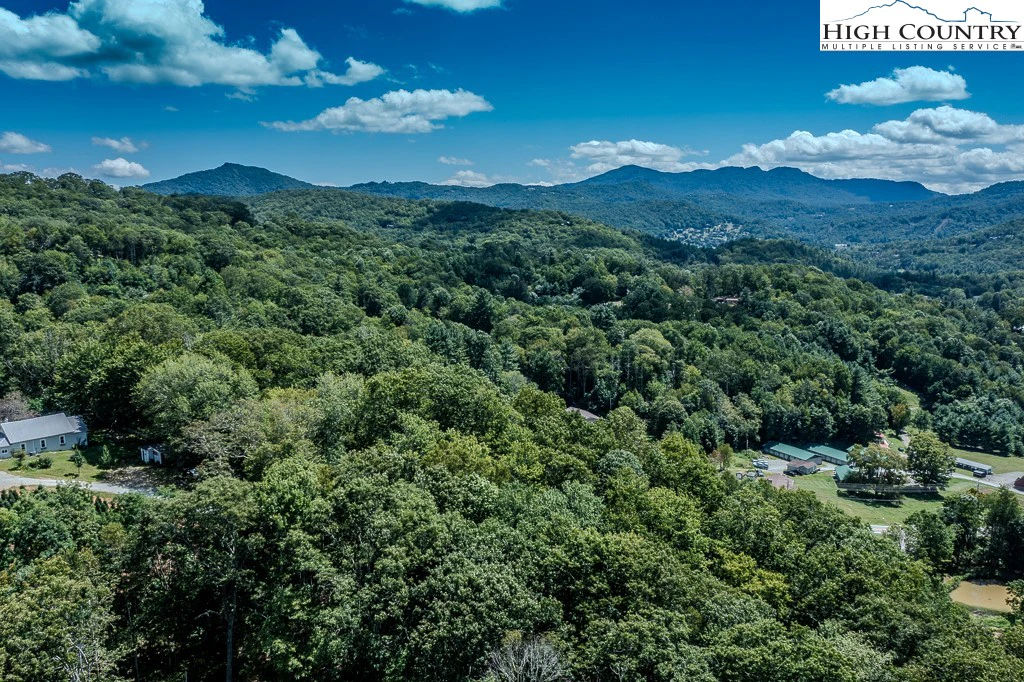 Image number 3 for the current listing