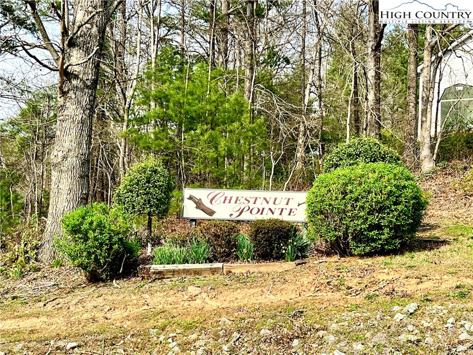 Image number 1 for the current listing