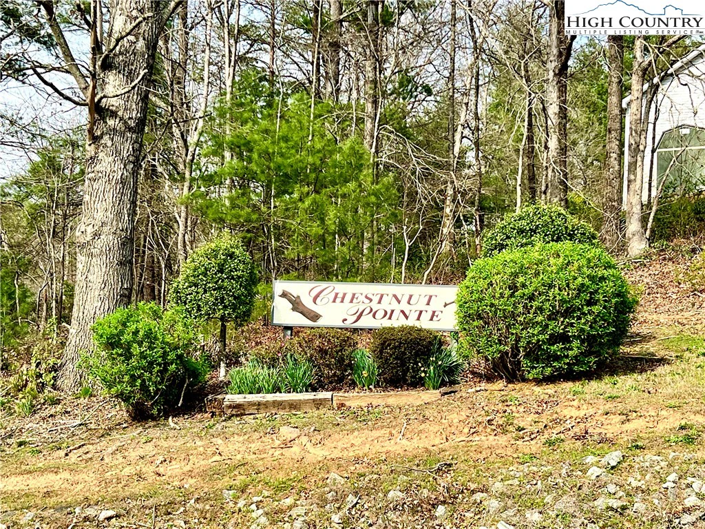 Image number 1 for the current listing