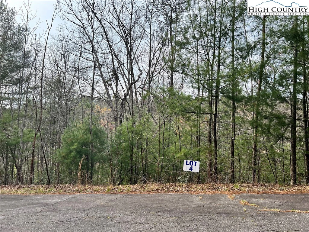 Image number 3 for the current listing