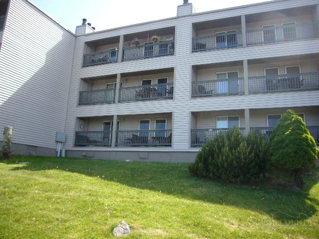Image number 1 for the current listing