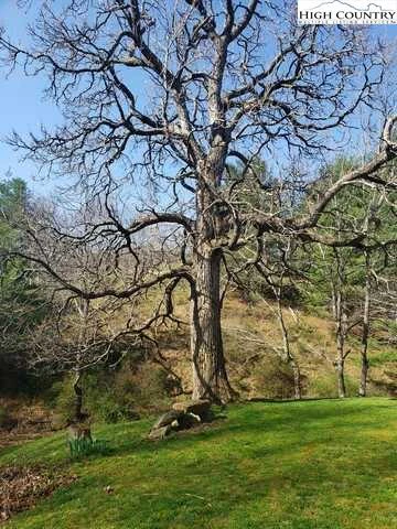 Image number 14 for the current listing