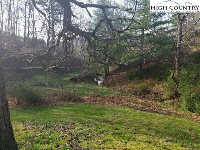 Image number 13 for the current listing