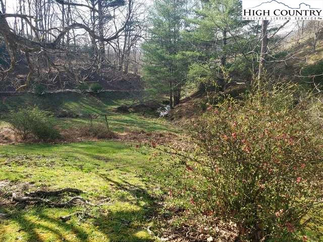 Image number 12 for the current listing
