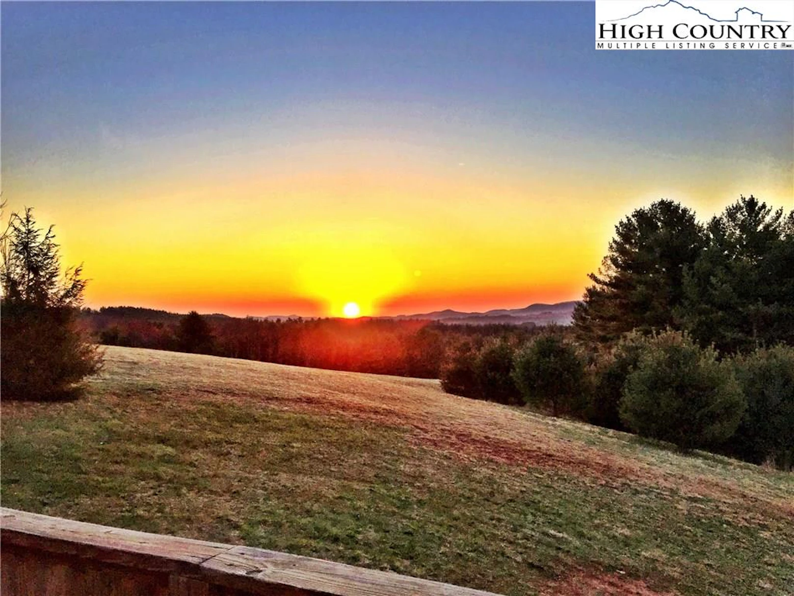 Image number 4 for the current listing