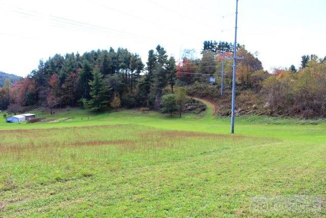 Image number 15 for the current listing