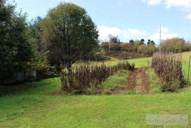 Image number 6 for the current listing