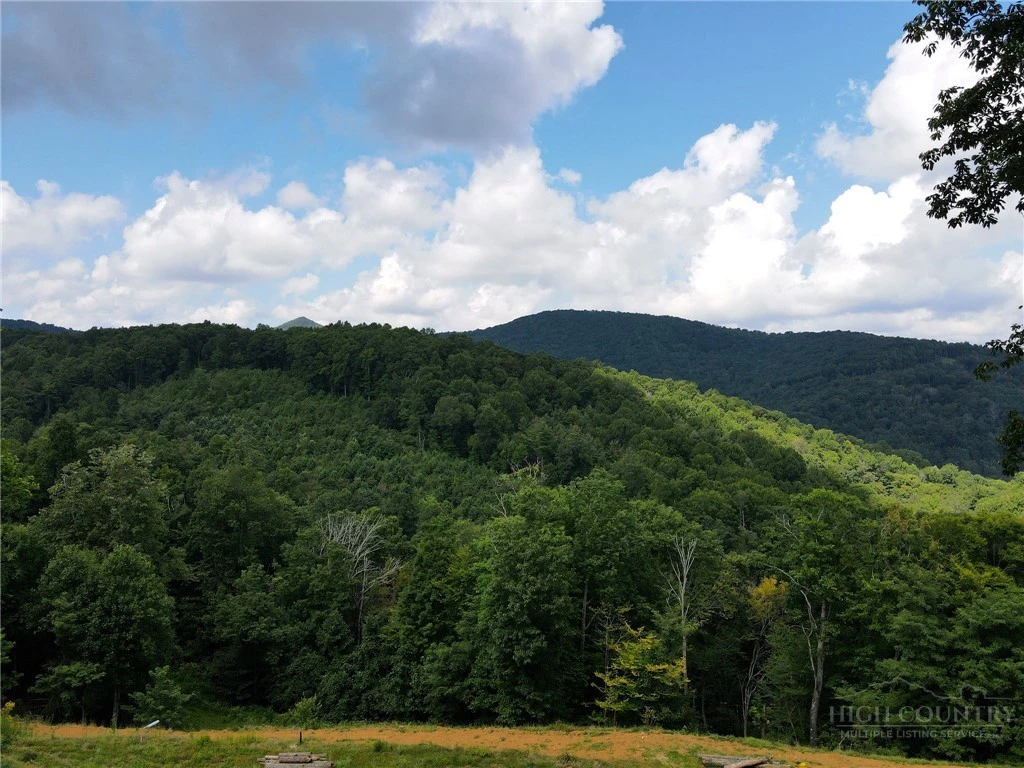 Image number 8 for the current listing