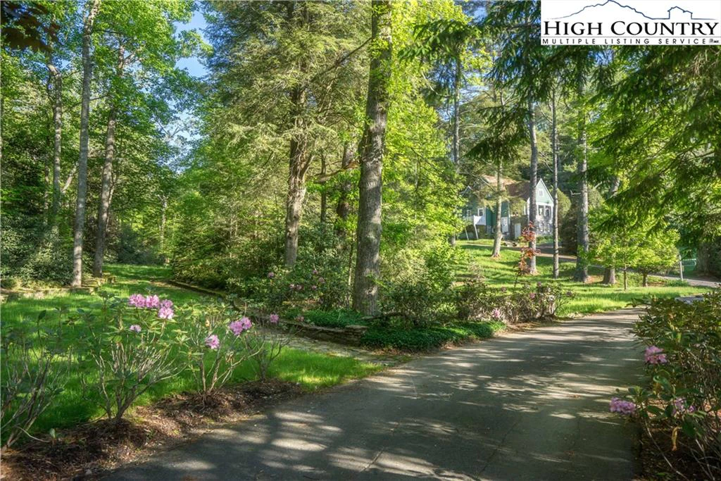 Image number 12 for the current listing