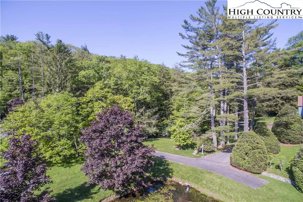 Image number 13 for the current listing