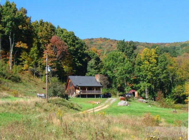 Image number 1 for the current listing