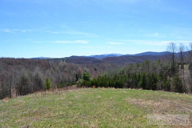 Image number 3 for the current listing